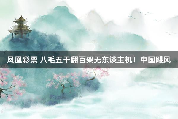凤凰彩票 八毛五干翻百架无东谈主机！中国飓风