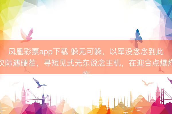凤凰彩票app下载 躲无可躲，以军没念念到此次际遇硬茬，寻短见式无东说念主机，在迎合点爆炸