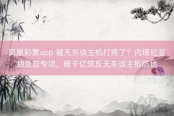 凤凰彩票app 被无东谈主机打疼了？内塔尼亚胡急启专项，砸千亿筑反无东谈主机防地