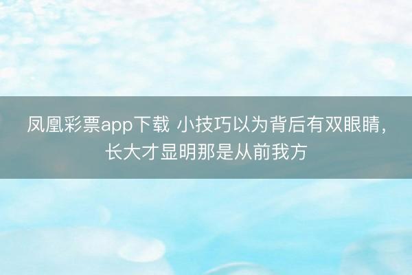 凤凰彩票app下载 小技巧以为背后有双眼睛，长大才显明那是从前我方